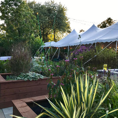 Exterior, canopy tents seating area