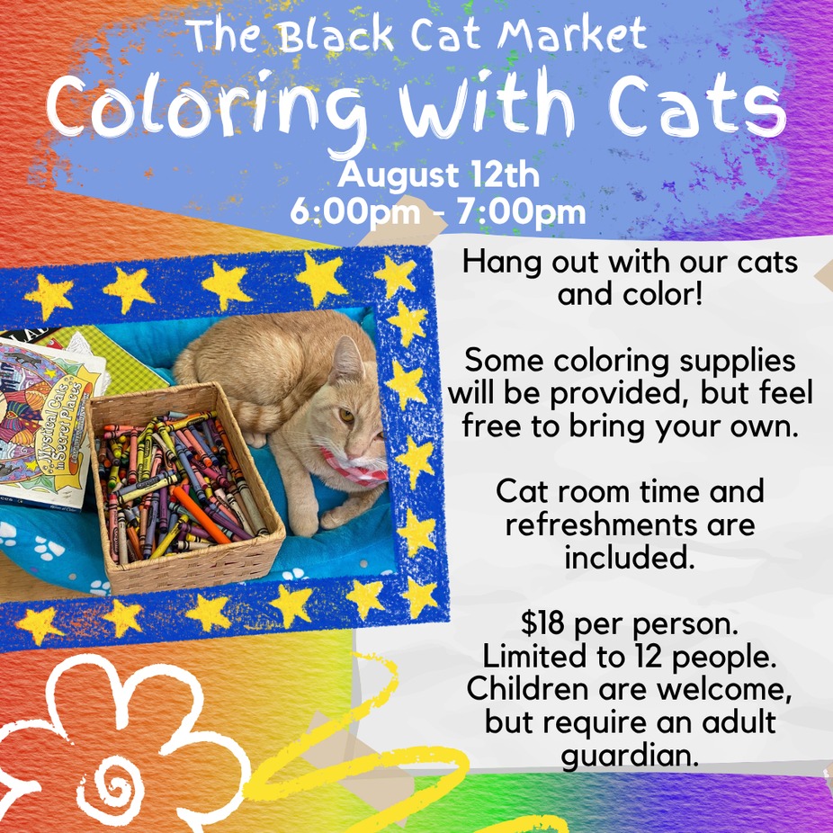 Coloring with Cats - August 12th event photo