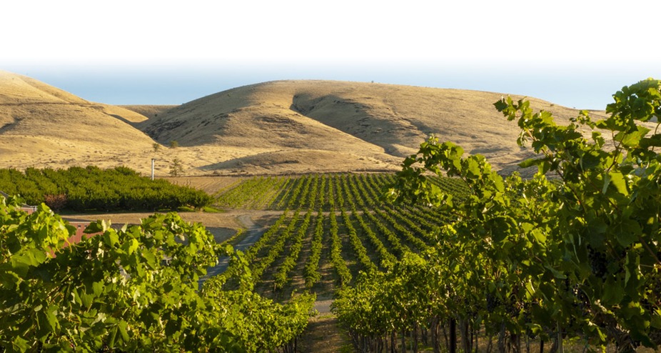 Yakima Valley Flight event photo