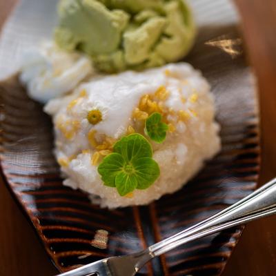 Sticky Rice with Ice Cream, close-up.