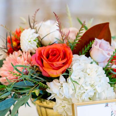 gallery photo number 54