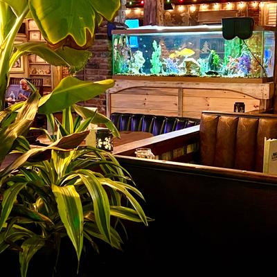 A photo of our booth seating next to our fresh water aquarium..