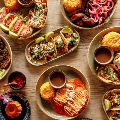A variety of dishes placed on a wooden table, top view.