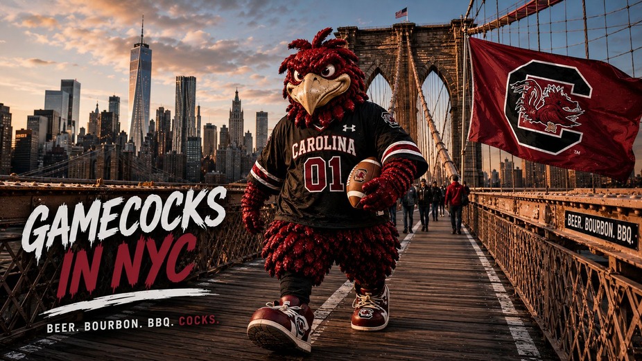 Gamecocks vs Towson event photo