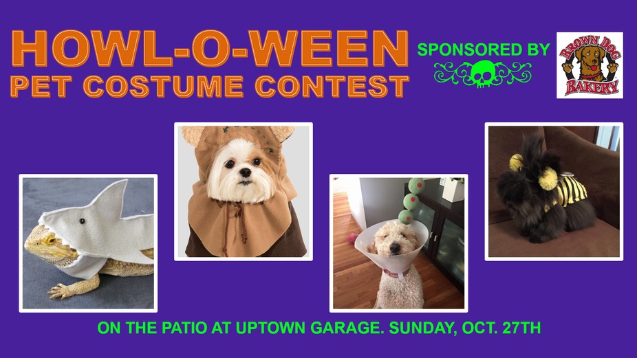 Howl-O-Ween Pet Costume Contest event photo