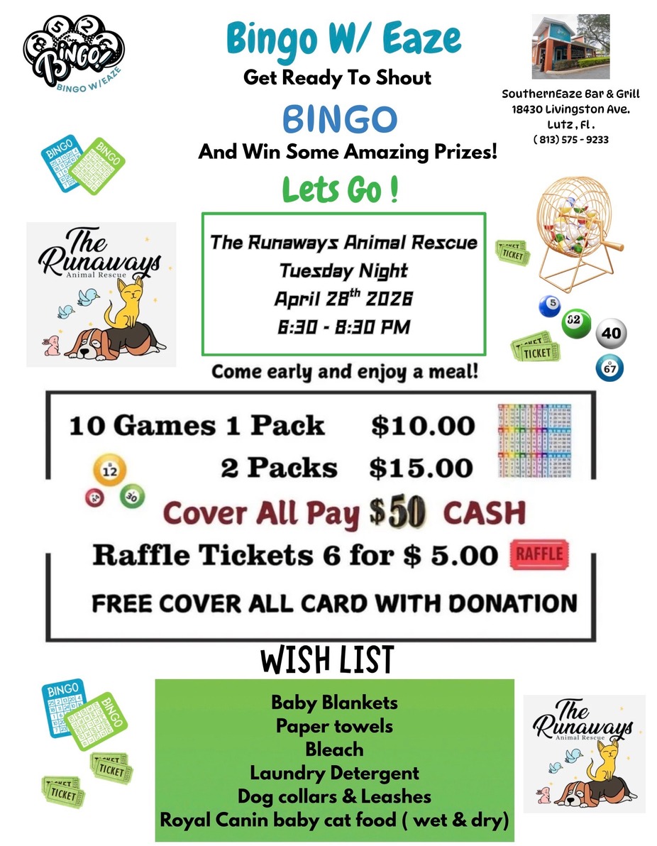 Tuesday Charity Bingo event photo