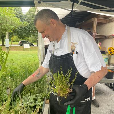 Exterior, Chef picks fresh herbs from garden.