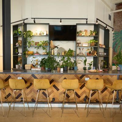 gallery photo number 40