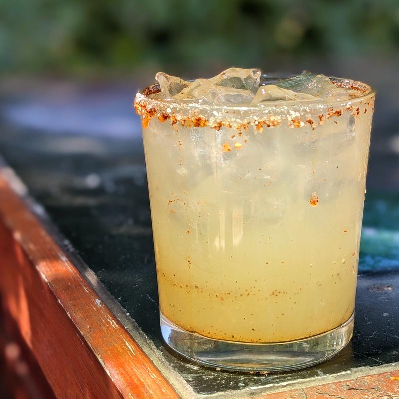 NA Phd Margartita photo