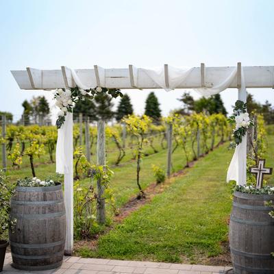 gallery photo number 3