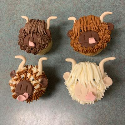 Highland cow cupcakes