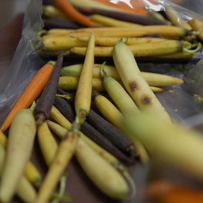 gallery photo number 128