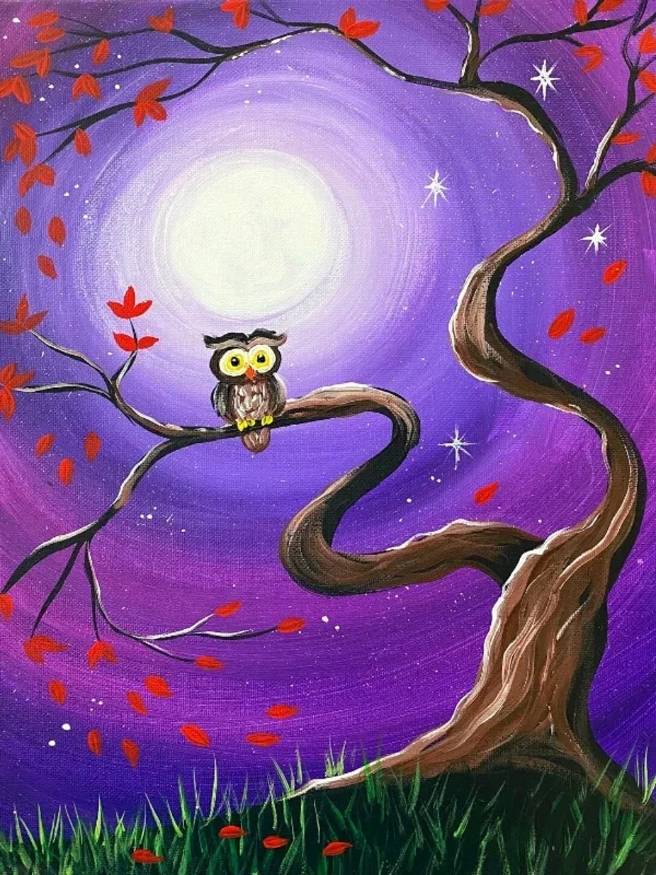 Paint N' Sip: Whimsical Owl event photo