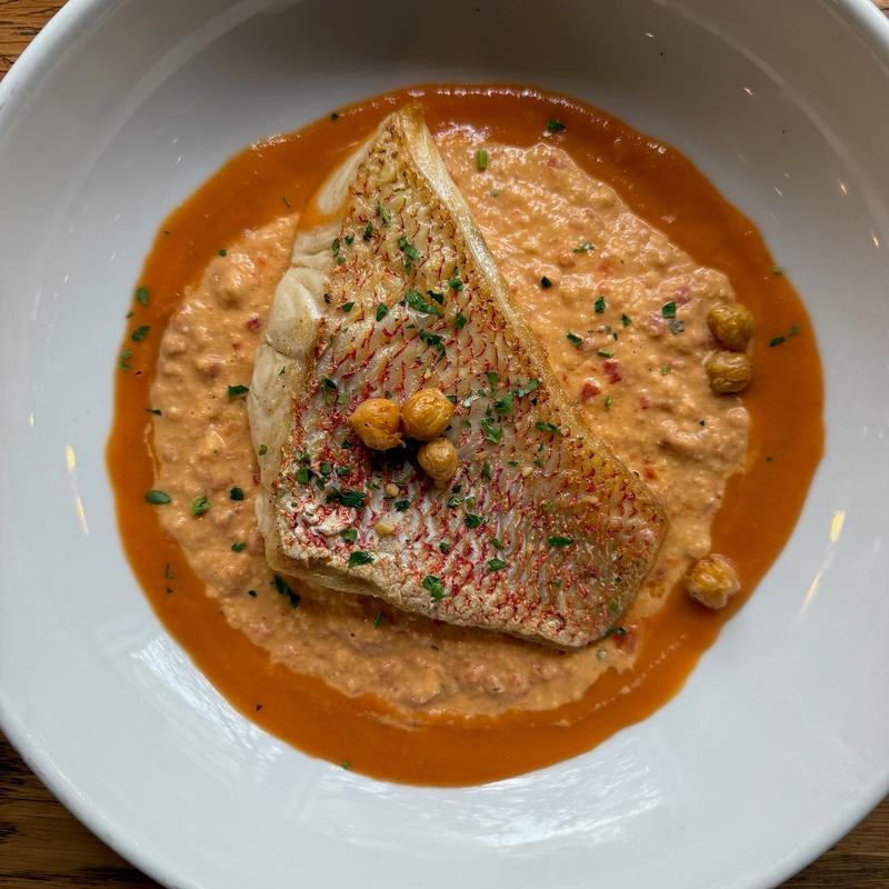 Mediterranean Snapper photo