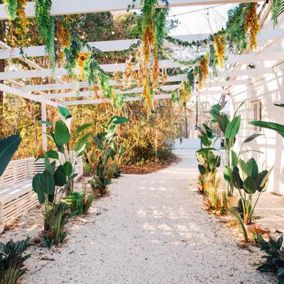 Lost Isle garden and benches.