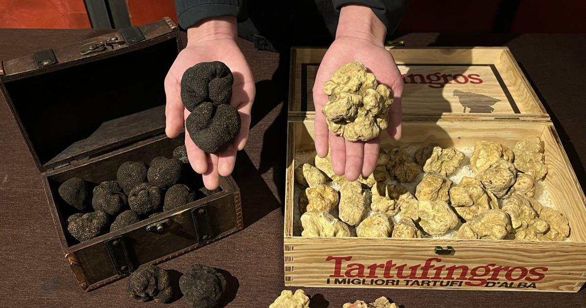 Black or White Truffle, which do you like?