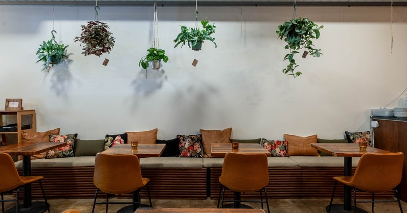Interior, dining area, low banquette bench with tables and chairs, hanging plant pots