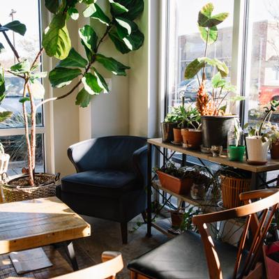 Interior with table, chairs, armchair and plants.