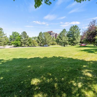 Grass area with trees and shadow