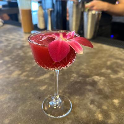 gallery photo number 22