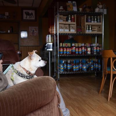 Interior with a shelves with various items and a person in the armchair with a dog.