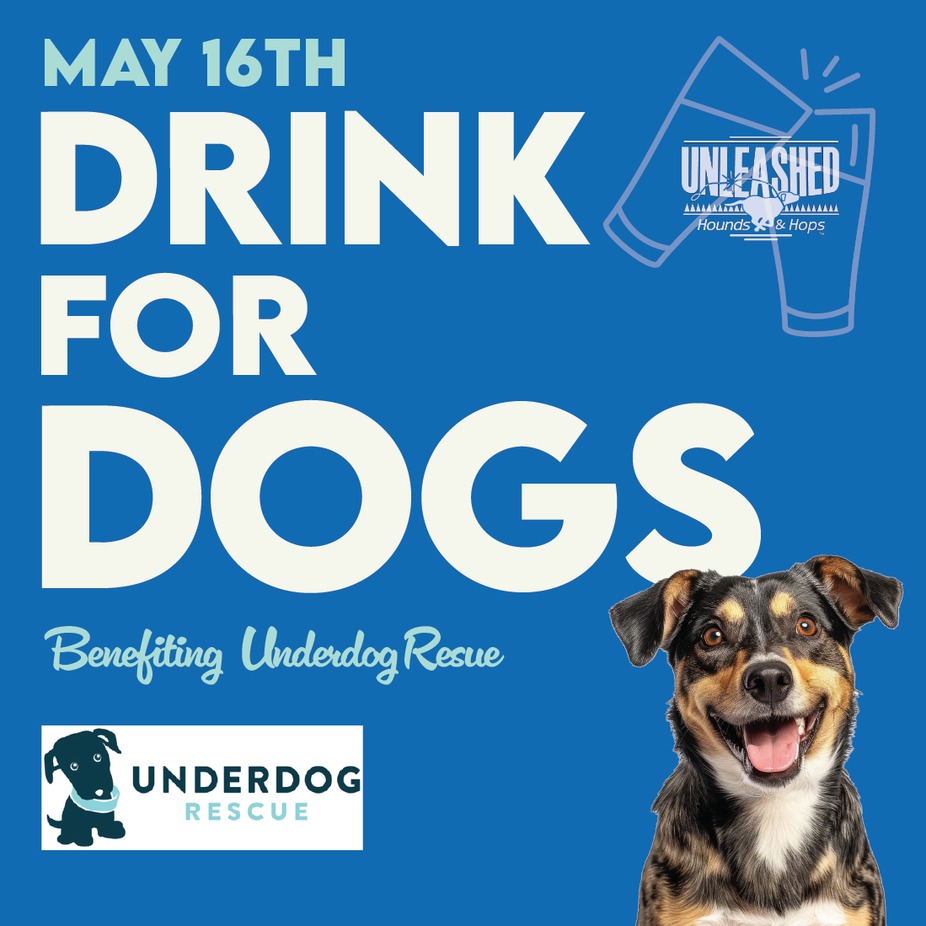 Drink For Dogs - Underdog Rescue event photo