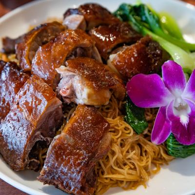 Served roast duck with noodles