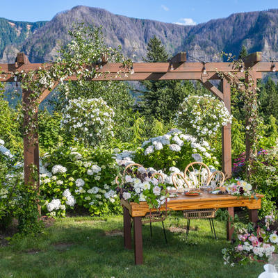 Bride and groom table with ornaments