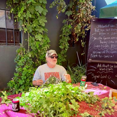 Pete cleaning Hops at the Brewhouse.