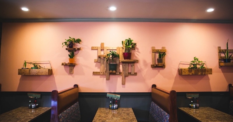 Restaurant booths along the wall with plants on it