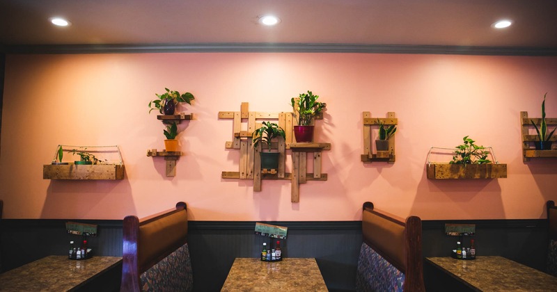 Restaurant booths along the wall with plants on it