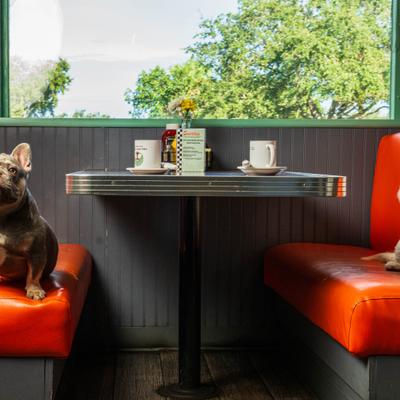 gallery photo number 17