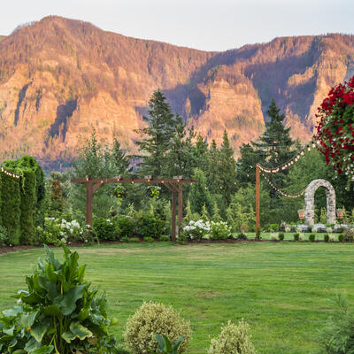 gallery photo number 272