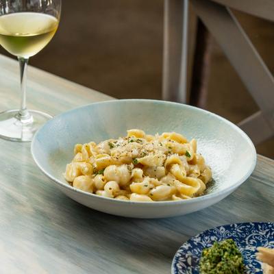 Conchiglie ai Quattro Formaggi - Shells in 4 Cheeses: Fontina, Gruyere, Mozzarella, Parmigiana.