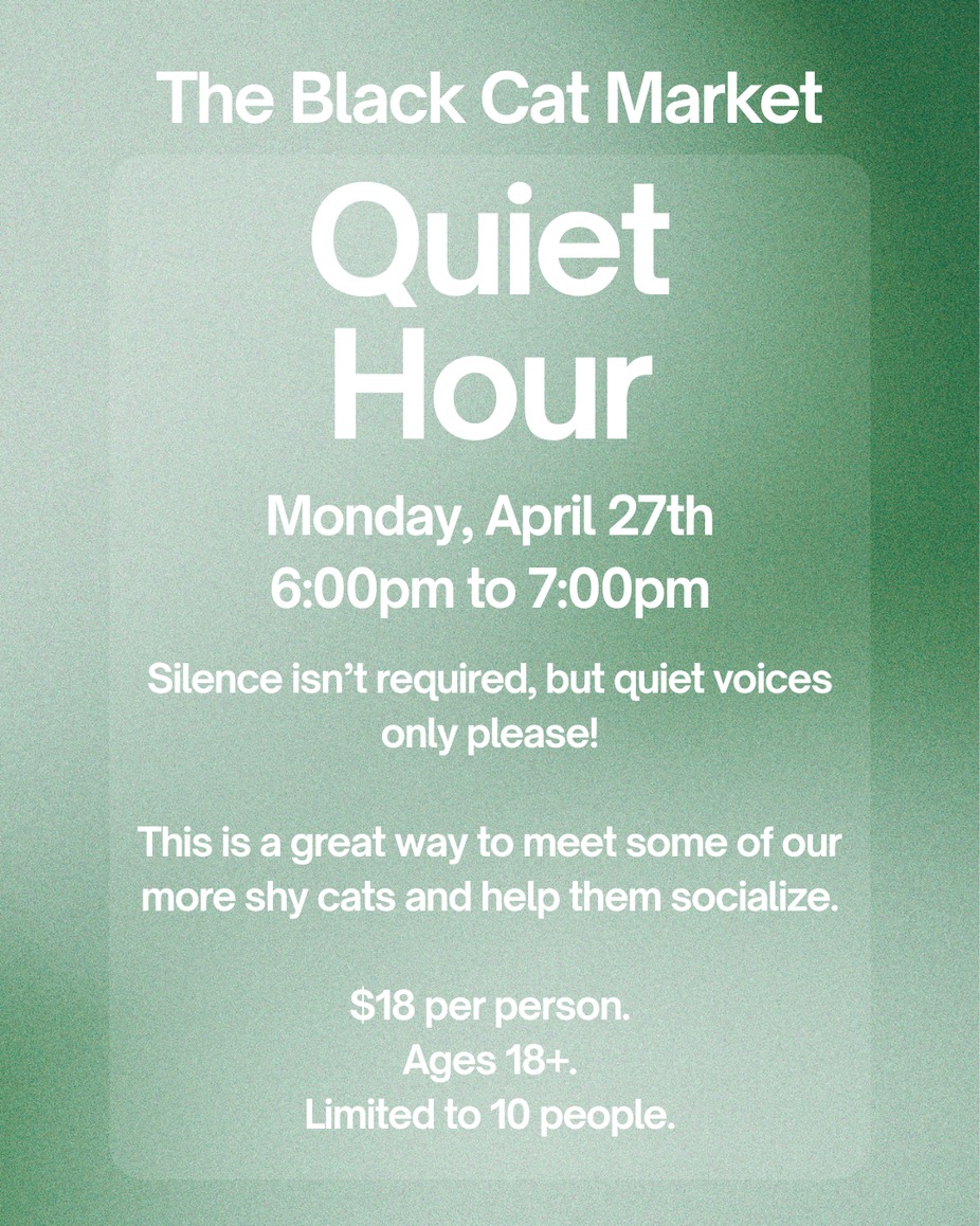 Quiet Hour event photo