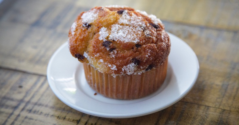 Choclate Chip Muffin