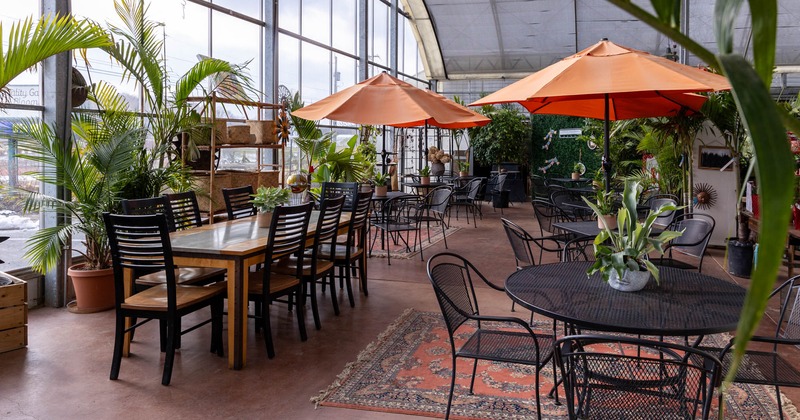 Interior, seating area with plant decoration