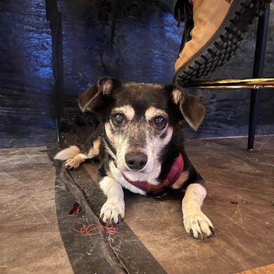 gallery photo number 11