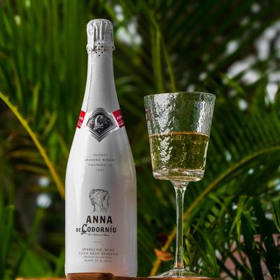 Anna De Cordorniu sparkling wine bottle and glass resting in front of palm branches.