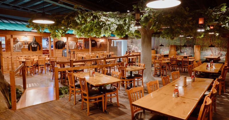 Seating area, tables ready for guests