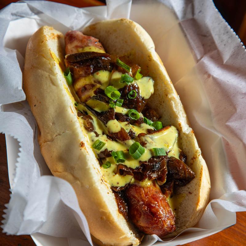 Alligator Sausage Dog photo