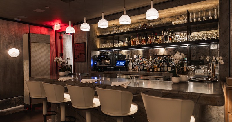 Modern style of interior design, bar area