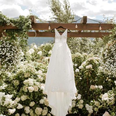 gallery photo number 262