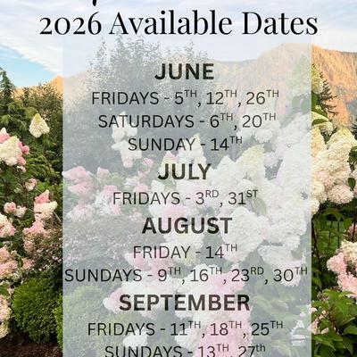 gallery photo number 347