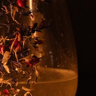 gallery photo number 2