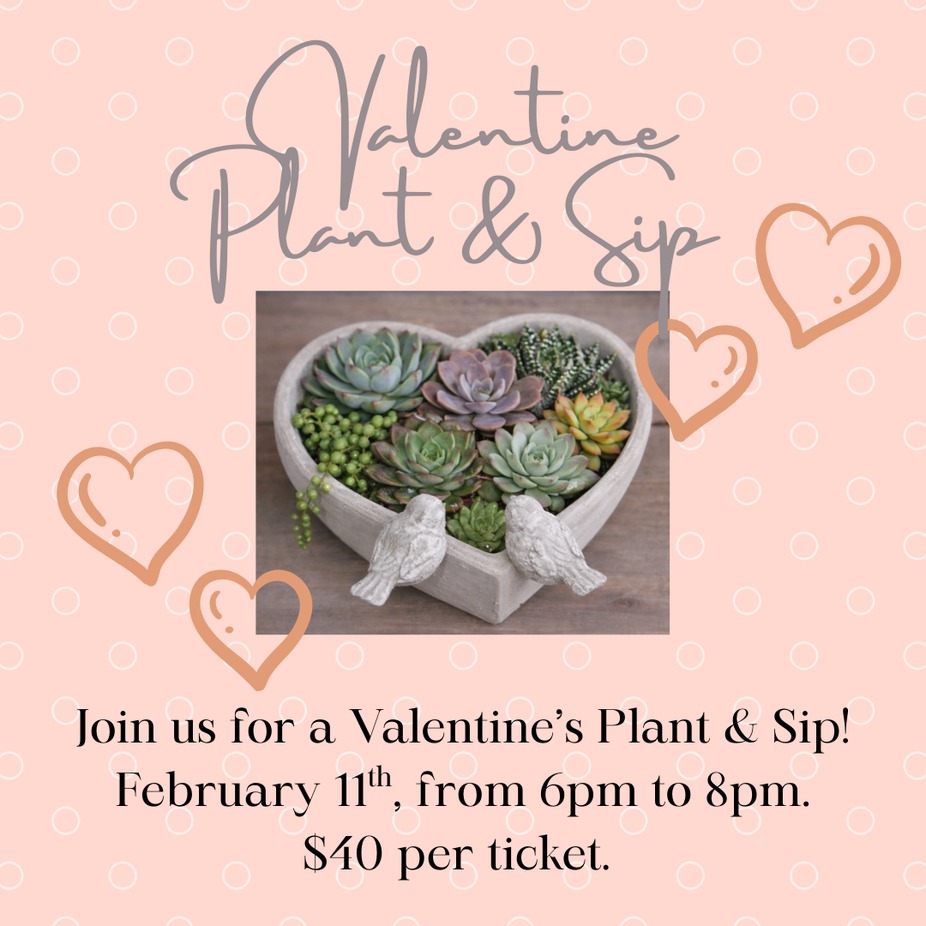 Valentine Plant & Sip event photo