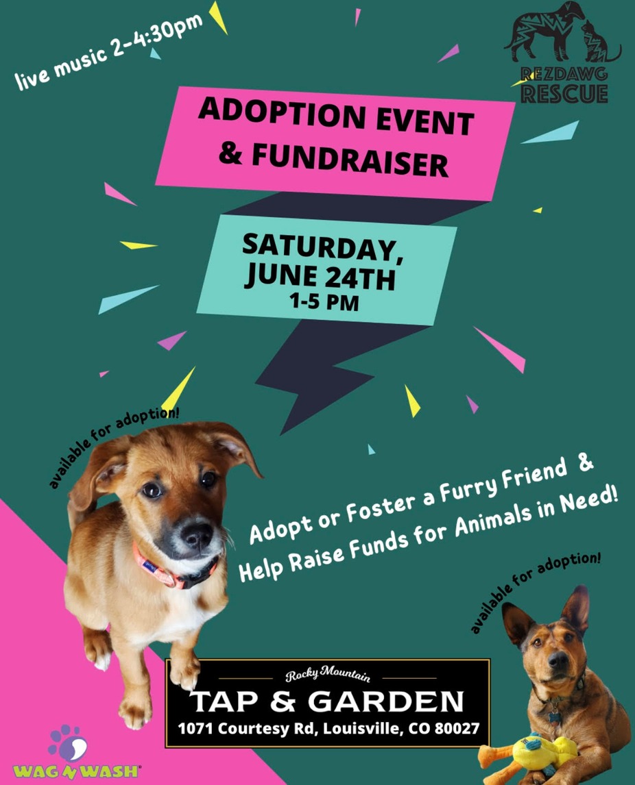 Rezdawg Dog Adoption Event event photo