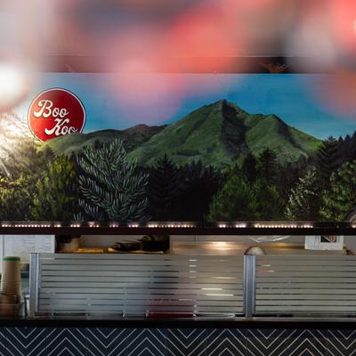 Large wall mural of green mountain range surrounded by dense forests.