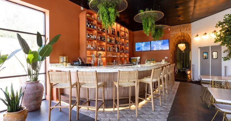 Bar area, neatly lined up bar stools