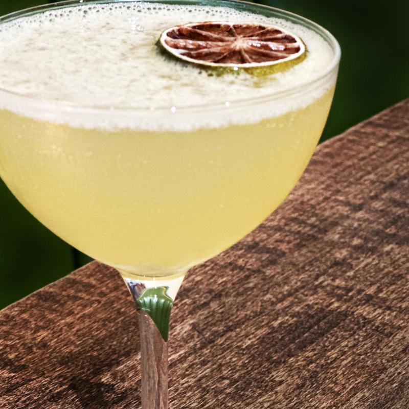 Josephine's Dream photo